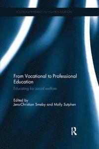 bokomslag From Vocational to Professional Education