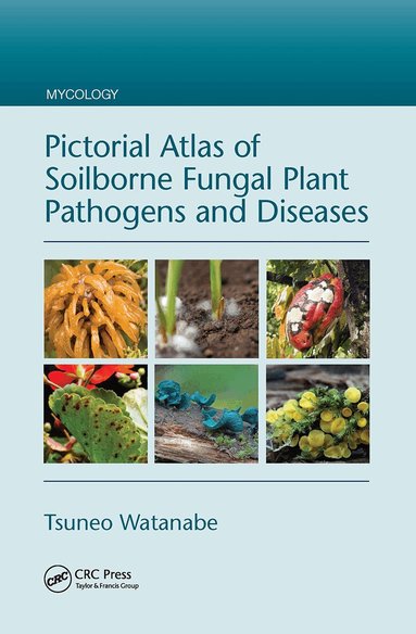 Tsuneo Watanabe - Pictorial Atlas of Soilborne Fungal Plant Pathogens and Diseases, Inbunden
