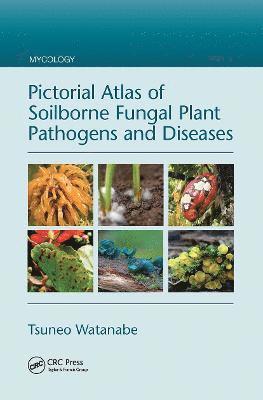 bokomslag Pictorial Atlas of Soilborne Fungal Plant Pathogens and Diseases