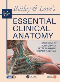 bokomslag Bailey & Love's Essential Clinical Anatomy