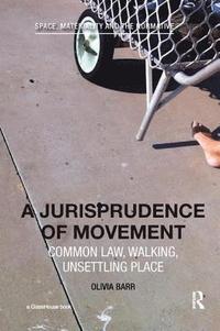 bokomslag Jurisprudence of Movement