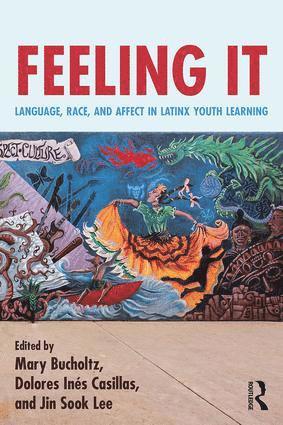 Mary Bucholtz, Dolores Inés Casillas, Jin Sook Lee, Dolores Ines Casillas, Jin Sook Casillas, Dolores Inés - Feeling It, Häftad