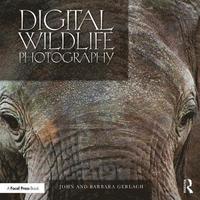 bokomslag Digital Wildlife Photography