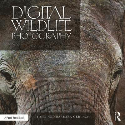 Digital Wildlife Photography 1