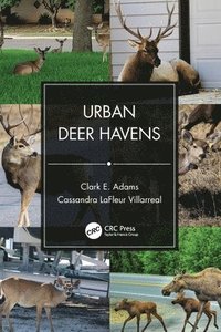 bokomslag Urban Deer Havens