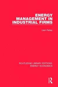 bokomslag Energy Management in Industrial Firms