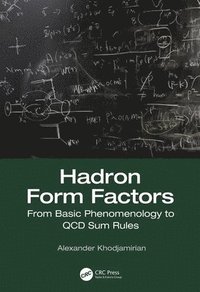 bokomslag Hadron Form Factors