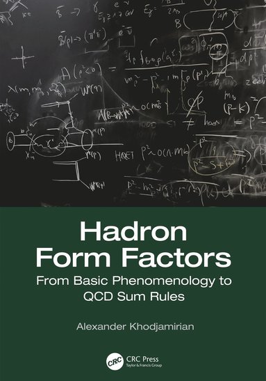 bokomslag Hadron Form Factors