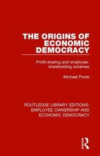 bokomslag The Origins of Economic Democracy