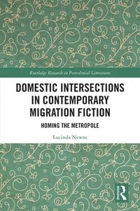 bokomslag Domestic Intersections in Contemporary Migration Fiction