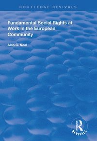 bokomslag Fundamental Social Rights at Work in the European Community