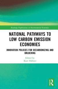bokomslag National Pathways to Low Carbon Emission Economies