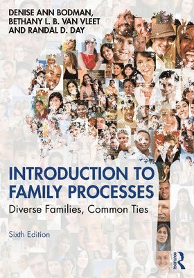 bokomslag Introduction to Family Processes