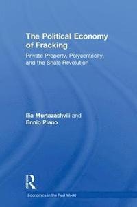bokomslag The Political Economy of Fracking