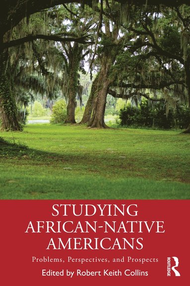 bokomslag Studying African-Native Americans