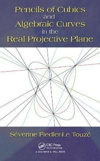 bokomslag Pencils of Cubics and Algebraic Curves in the Real Projective Plane