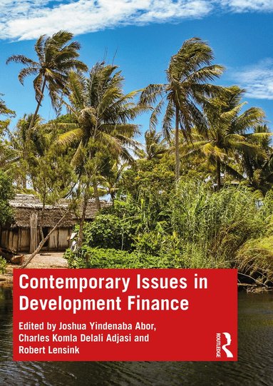 Joshua Yindenaba Abor, Charles Komla Delali Adjasi, Robert Lensink - Contemporary Issues in Development Finance, Häftad