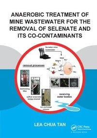 bokomslag Anaerobic Treatment of Mine Wastewater for the Removal of Selenate and its Co-Contaminants