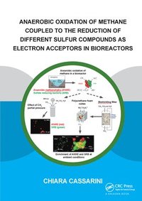 bokomslag Anaerobic Oxidation of Methane Coupled to the Reduction of Different Sulfur Compounds as Electron Acceptors in Bioreactors