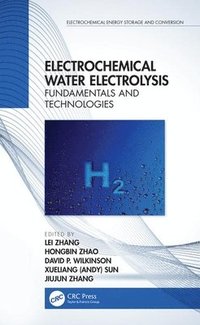 bokomslag Electrochemical Water Electrolysis