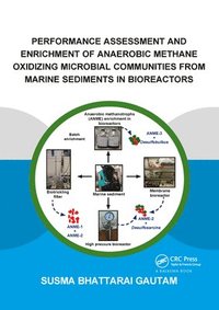 bokomslag Performance Assessment and Enrichment of Anaerobic Methane Oxidizing Microbial Communities from Marine Sediments in Bioreactors
