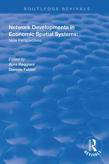 bokomslag Network Developments in Economic Spatial Systems