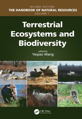 bokomslag Terrestrial Ecosystems and Biodiversity