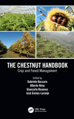 bokomslag The Chestnut Handbook