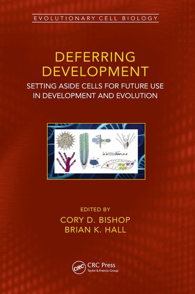 Cory Douglas Bishop, Brian K. Hall - Deferring Development, Inbunden