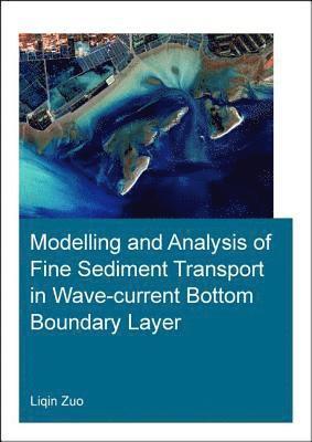 Modelling and Analysis of Fine Sediment Transport in Wave-Current Bottom Boundary Layer 1