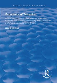 bokomslag Economics of Transition
