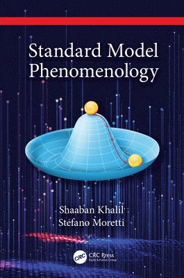 bokomslag Standard Model Phenomenology