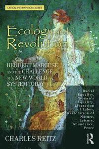 bokomslag Ecology and Revolution