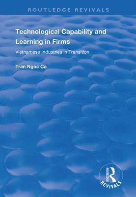 Technological Capability and Learning in Firms 1