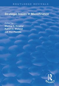 bokomslag Strategic Issues in Microfinance