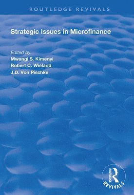 Strategic Issues in Microfinance 1