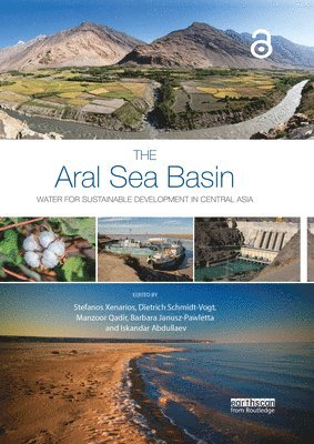 bokomslag The Aral Sea Basin