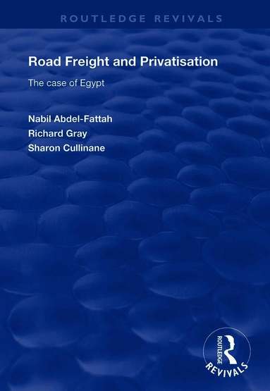 Nabil Abdel-Fattah, Richard Gray, Sharon Cullinane - Road Freight and Privatisation, Häftad