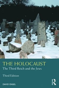 bokomslag The Holocaust: The Third Reich and the Jews