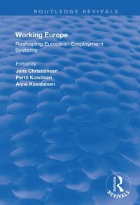 bokomslag Working Europe