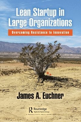 Lean Startup in Large Organizations 1