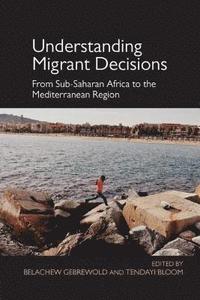 bokomslag Understanding Migrant Decisions