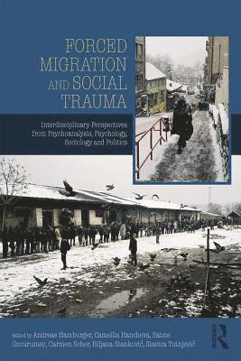 bokomslag Forced Migration and Social Trauma