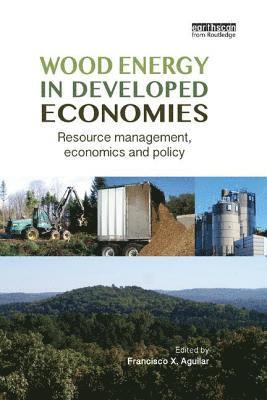 bokomslag Wood Energy in Developed Economies