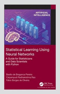 bokomslag Statistical Learning Using Neural Networks