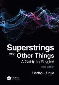 bokomslag Superstrings and Other Things