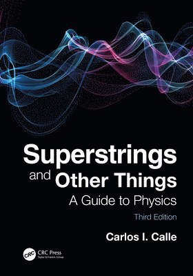 Superstrings and Other Things 1