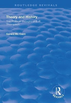 bokomslag Theory and History