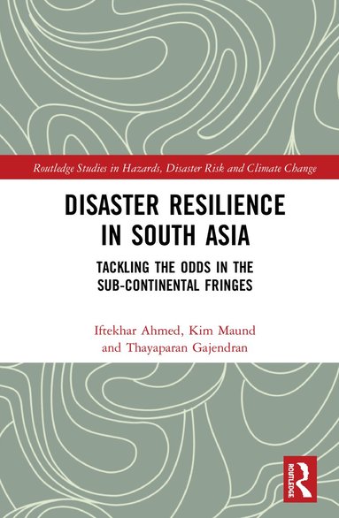 bokomslag Disaster Resilience in South Asia