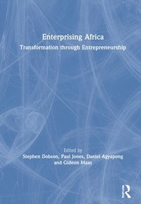 bokomslag Enterprising Africa